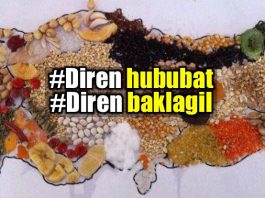 Diren hububat diren baklagil!
