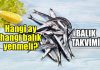 Balık takvimi: Hangi ay hangi balık yenmeli? Hangi ay hangi balık yenmeli? Balık takvimi