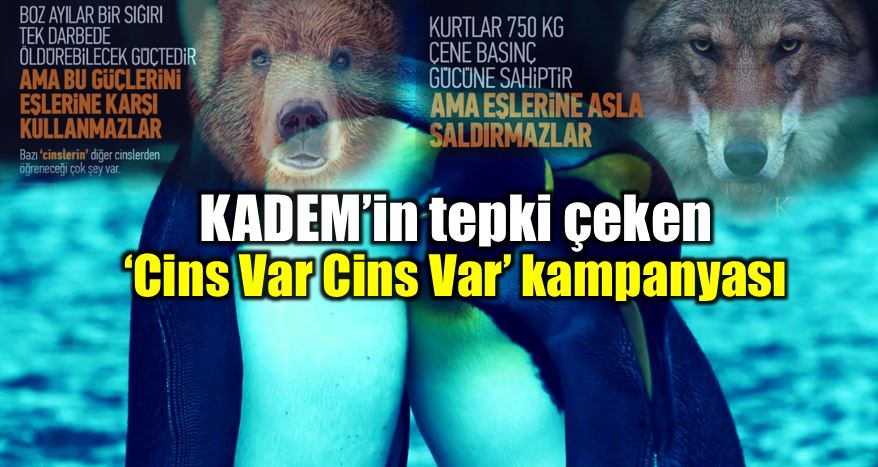 Kadem'in tepki çeken "Cins Var Cins Var" kampanyası