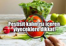 Pestisit nedir? Pestisit kalıntısı içeren yiyecekler neler? Pestisit nedir? Pestisit kalıntısı içeren yiyecekler hangileri?