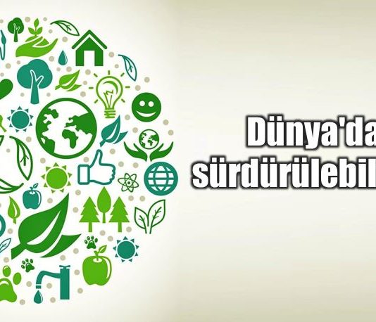 Sürdürülebilirlik Serisi: Dünya'da sürdürülebilirlik (202)