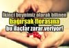Bağırsak florasına hangi ilaçlar zarar veriyor? bağırsak florası mikrobiyota zarar veren ilaçlar ikinci beyin