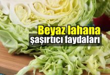 Beyaz lahana faydaları: Yapraklarında şifa var!