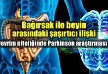 Beyin ve bağırsak ilişkisi Parkinson mikrobiyota