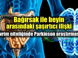 Beyin ve bağırsak ilişkisi Parkinson mikrobiyota