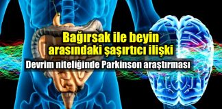 Beyin ve bağırsak ilişkisi Parkinson mikrobiyota