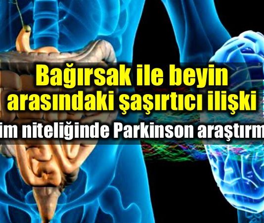 Beyin ve bağırsak ilişkisi Parkinson mikrobiyota