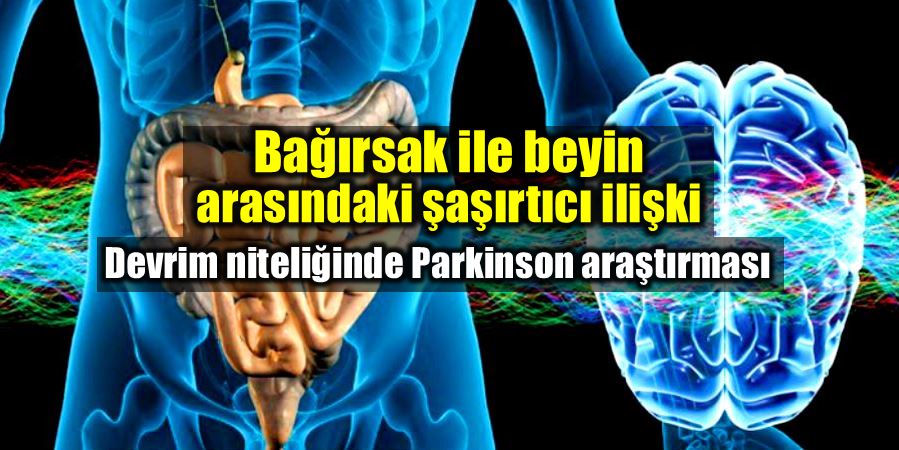 Beyin ve bağırsak ilişkisi Parkinson mikrobiyota 