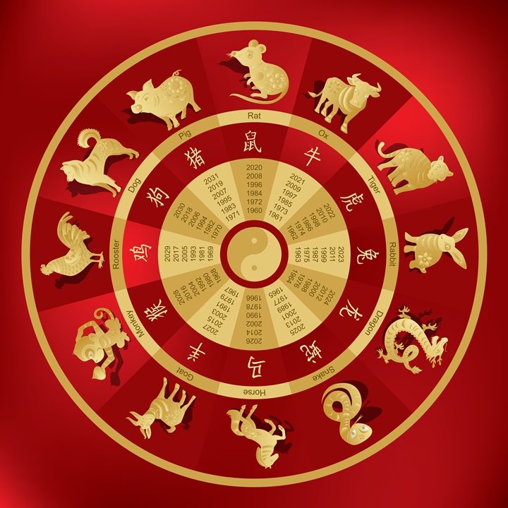 çin astrolojisi köpek yılı astroloji türkiye