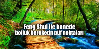 Feng shui ile bolluk ve bereketin püf noktaları