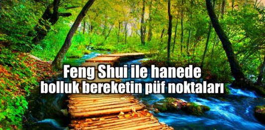 Feng shui ile bolluk ve bereketin püf noktaları