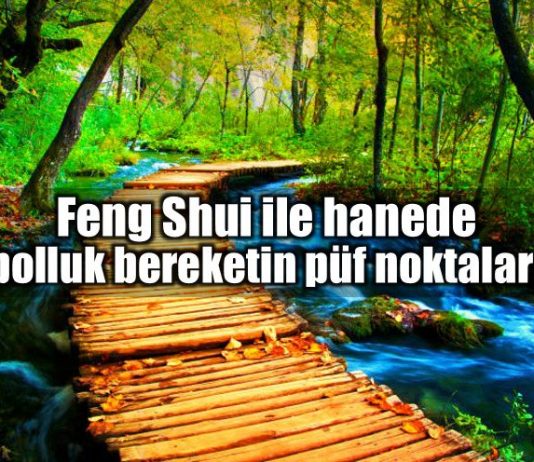 Feng shui ile bolluk ve bereketin püf noktaları