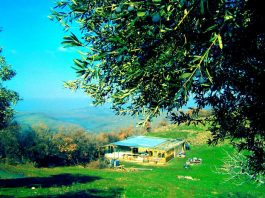 İmece Evi: Ekolojik komün çiftlik yeni sakinlerini bekliyor