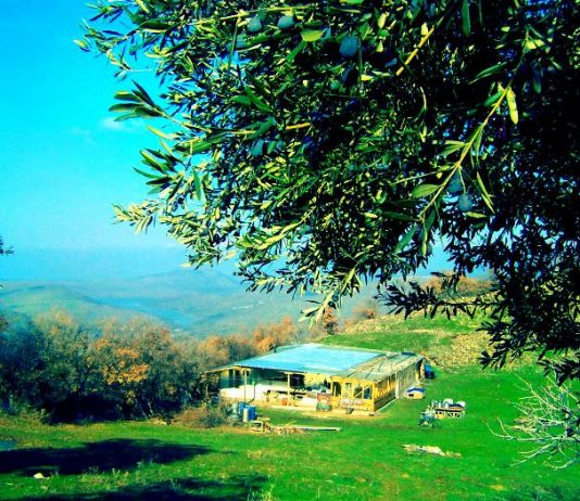 İmece Evi: Ekolojik komün çiftlik yeni sakinlerini bekliyor