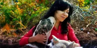PET VET: Hayvan dostlarının dergisi pet vet hayvan dostları dergisi nuran ergün röportaj