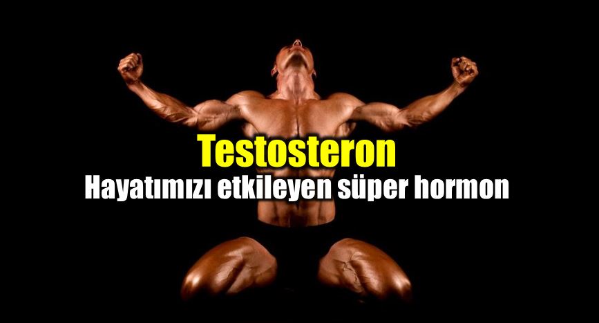 Testosteron: Hayatı etkileyen süper hormon