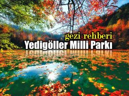Yedigöller Milli Parkı: Bir gezginin günlüğü gezi rehberi bolu