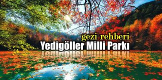 Yedigöller Milli Parkı: Bir gezginin günlüğü gezi rehberi bolu