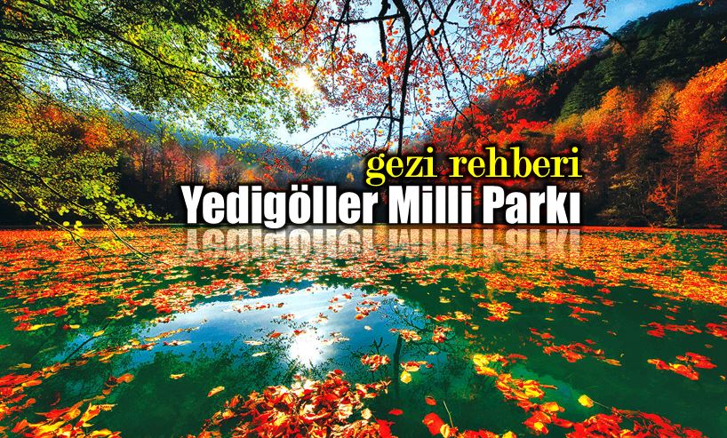 Yedigöller Milli Parkı: Bir gezginin günlüğü gezi rehberi bolu