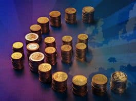 Avrupa Para Fonu (EMF) üzerine siyasi tartışmalar