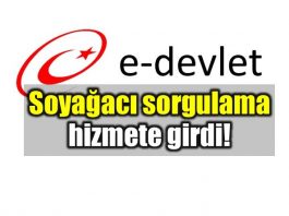 E-devlet soyağacı öğrenme: Alt-üst soy bilgisi sorgulama