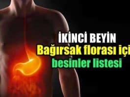 Bağırsak florası (ikinci beyin) için besinler listesi