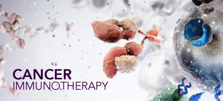 immünoterapi kanser immunotherapy cancer