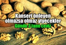 Kanseri önleyen olmazsa olmaz yiyecekler listesi Kanseri önleyen olmazsa olmaz yiyecekler listesi
