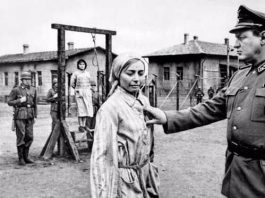 tarihin bitmeyen hesaplaşması hitler nazi almanyası