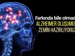Alzheimer hastalığına zemin hazırlayan etkenler neler?