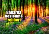 Baharda beslenme rehberi: Akdeniz diyeti nasıl yapılır? Baharda beslenme rehberi: Akdeniz diyeti nasıl yapılır?