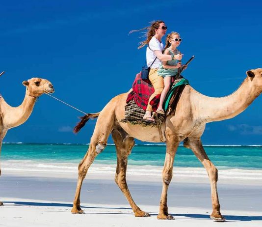 El yakmayan seyahat rotaları