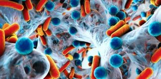 Sağlık dostu bakteriler neler? Probiyotik neden bu kadar önemli?