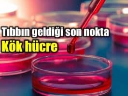 Kök hücre tedavisi: Tıbbın geldiği son nokta!