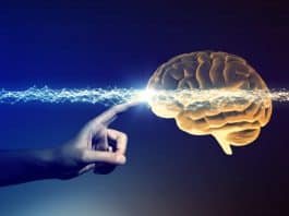 Mutsuzluk beyni küçültüyor; amacı olan insanlar mutlu!