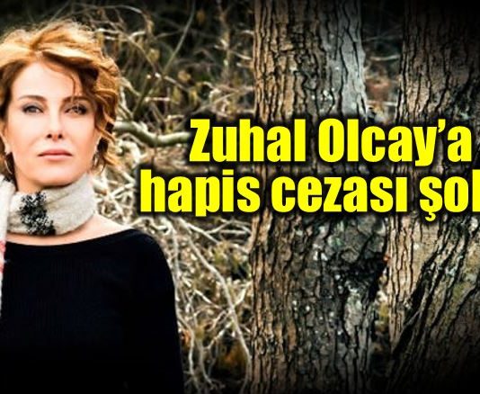 zuhal olcay cumhurbaşkanına hakaret recep tayyip erdoğan hapis cezası mahkeme
