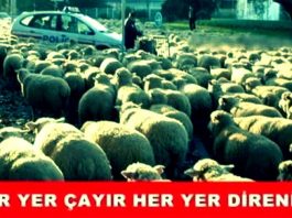 24 Haziran seçimleri: Kronik gevşeklik hastalığı