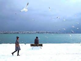 eren çevik fotoğraf