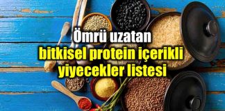 Bitkisel protein içeren yiyecekler listesi