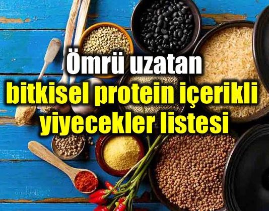 Bitkisel protein içeren yiyecekler listesi