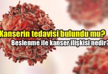 Kanserin tedavisi bulundu mu? Obezite beslenme kilo ile kanser ilişkisi nedir?