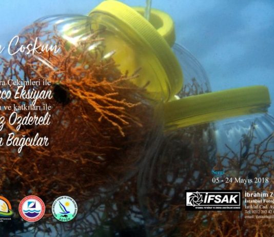 Mercan Aşkına: Ferhan coşkun yeni fotoğraf sergisi