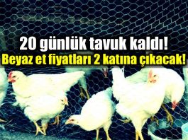 beyaz et krizi tavuk fiyatları