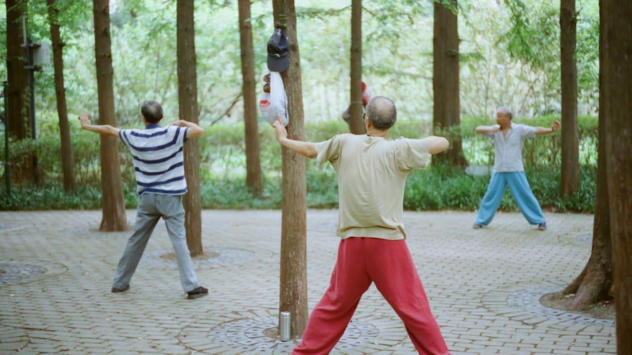 Parkta tai chi yapan insanlar