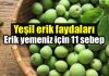 Yeşil erik yemeniz için 11 neden: Yeşil eriğin faydaları Yeşil erik faydaları: Yeşil erik yemeniz için 11 neden