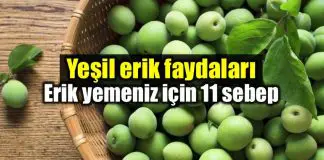 Yeşil erik yemeniz için 11 neden: Yeşil eriğin faydaları Yeşil erik faydaları: Yeşil erik yemeniz için 11 neden
