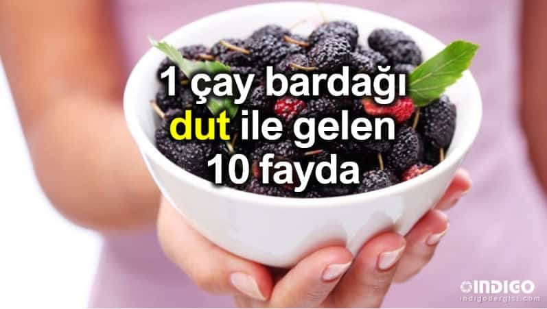 1 çay bardağı dut ile gelen 10 fayda!