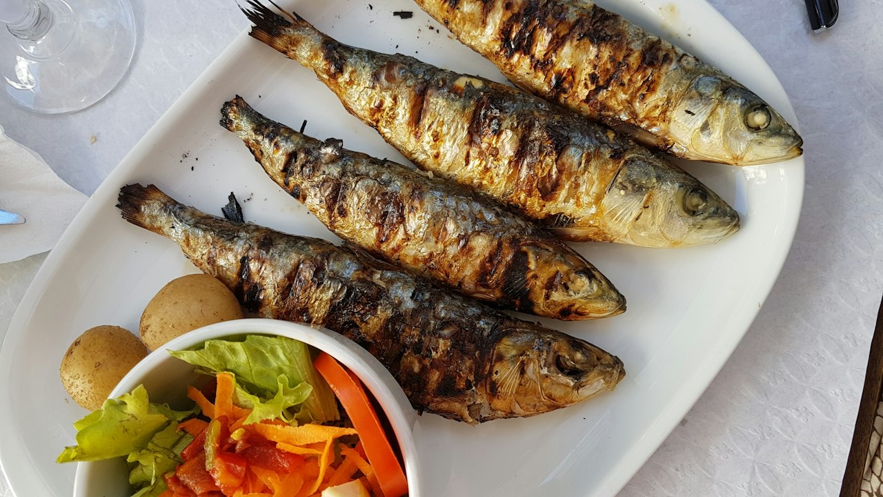 Izgara balık ve sebze salatası