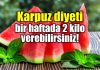 Karpuz diyeti ile bir haftada 2 kilo verebilirsiniz!