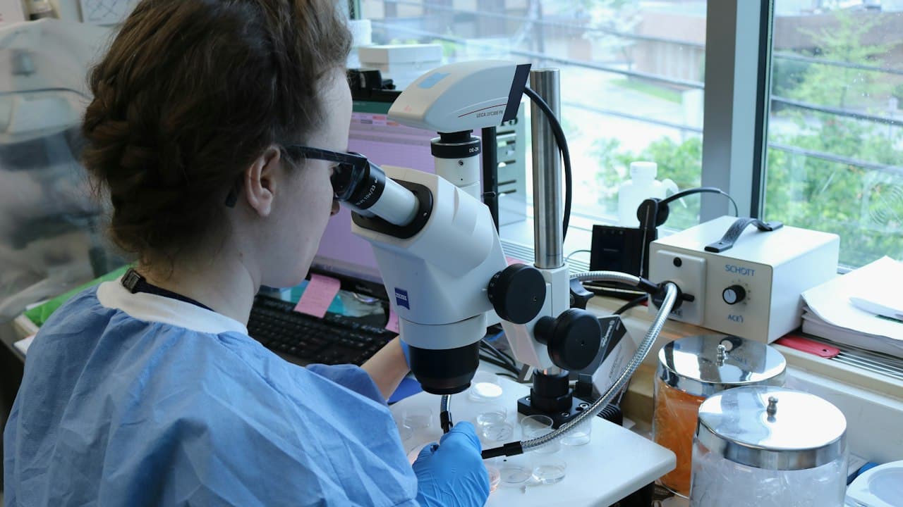 Laboratuvarda mikroskopla çalışan kadın